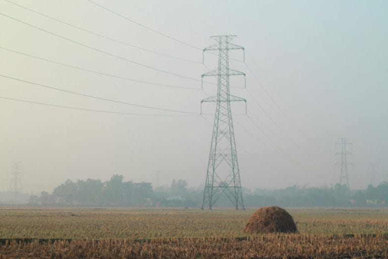 pexels-khanshaheb-19147153